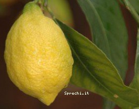 Come evitare di sprecare il limone con facilità ed efficacia!