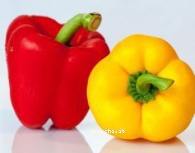 Sprechi alimentari, nuova app per contrastarli