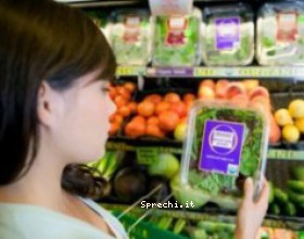 Sprechi alimentari in Emilia Romagna: al via Life food waste standup