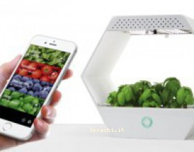 Linfa, la mini serra idroponica da casa che ci darà cibo più ecologico