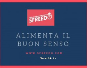 Arriva Sfreedo, la startup che contrasta lo spreco di cibo