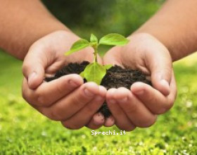 L'agroecologia come soluzione contro lo spreco