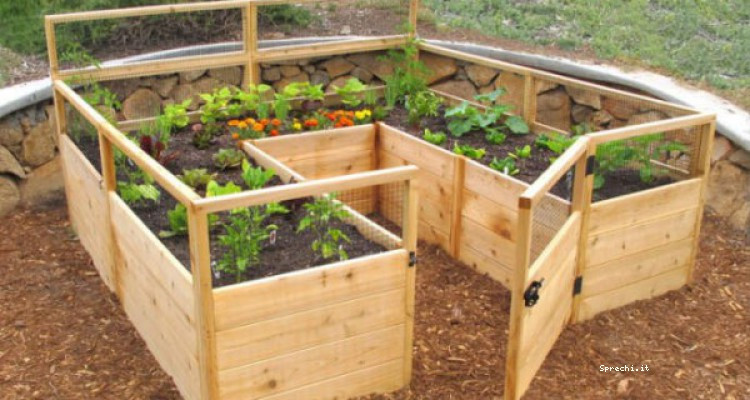 Come creare un orto con gli scarti vegetali e a sprechi zero