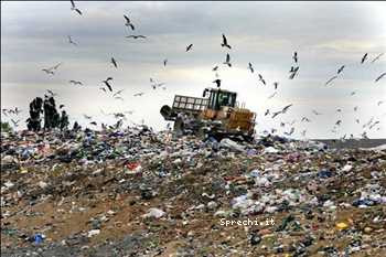 Global Municipal Solid Waste to Biomass Market